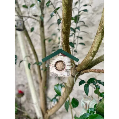 zolux - Support Boule de graisse en bois massif pour oiseaux
