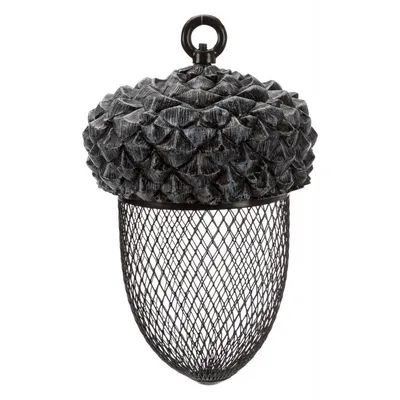 Mangeoire arachide en forme de gland pour oiseaux .