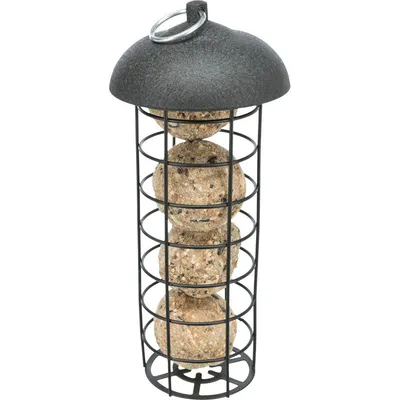 animallparadise - Mangeoire à boule de graisse pour oiseaux ø 10 x 21 cm