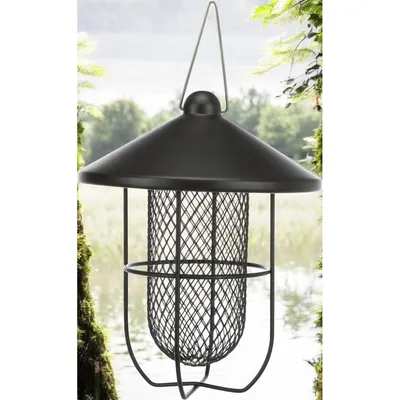 Distributeur de cacahuètes 700ml 19 x 26 cm oiseau