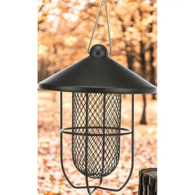 Distributeur de cacahuètes 700ml 19 x 26 cm oiseau