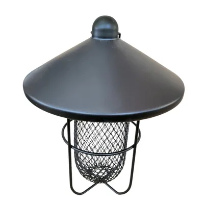 Distributeur de cacahuètes 700ml 19 x 26 cm oiseau