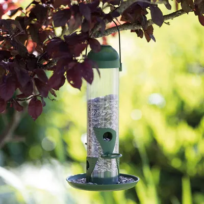 Mangeoire extérieure 750ml, 29 cm oiseaux