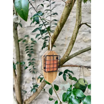 zolux - Support pour 2 pains de graisse Bamboo pour oiseaux