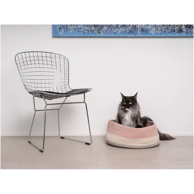 animallparadise - Panier Bobo Pink pour chats ou petit chiens