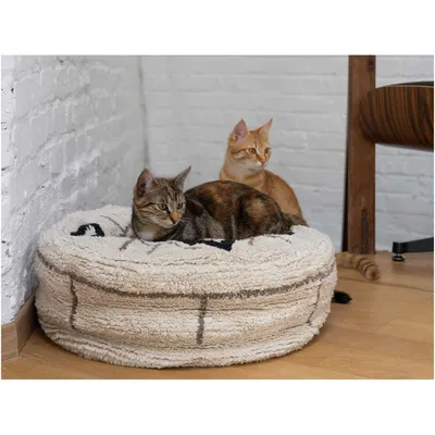 animallparadise - Pouf Berbère caramel ø 50 cm pour chats ou petit chiens