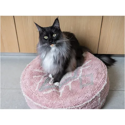 animallparadise - Pouf Bobo Pink ø 50 cm pour chats ou petit chiens