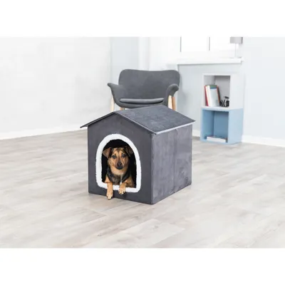 animallparadise - Abri Livia pour petit chien et chats, dimensions: 50 X 50