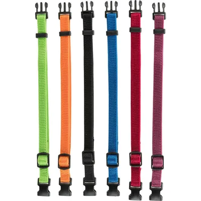 6 colliers S-M  17 à 25 cm x 10 mm pour chiot, 6 couleurs différentes