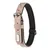 Flamingo - Collier taille S-M 29-35 cm en simili cuir et néoprène DELU, co Flamingo - Collier taille S-M 29-35 cm en simili cuir et néoprène DELU, co