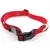 zolux - collier nylon 50 - 80  cm x 40 mm  pour chien.