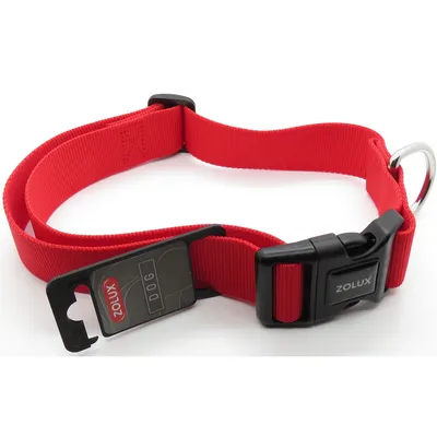 collier nylon 50 - 80  cm x 40 mm  pour chien.