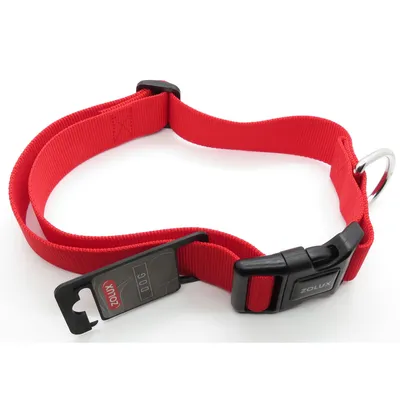 zolux - collier nylon 50 - 80  cm x 40 mm  pour chien.