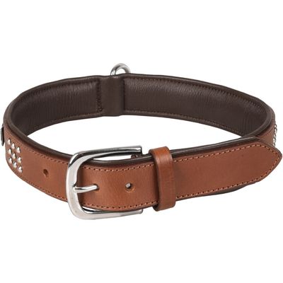 Collier Cuir SEDONA brun taille XXL 51-60 cm pour chien