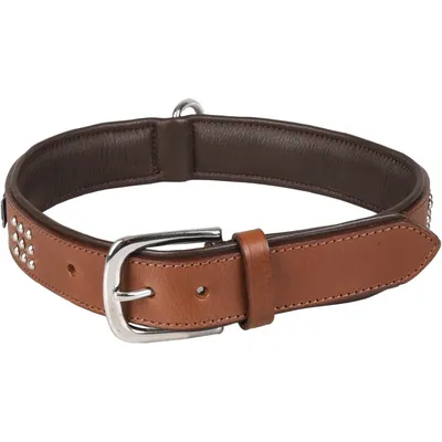 Flamingo - Collier Cuir SEDONA brun taille XXL 51-60 cm pour chien