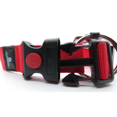 Flamingo - Collier Ziggi  55 -75 cm 40 mm  taille XL pour chien