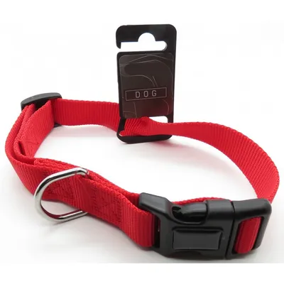 Collier nylon, 50 - 60  cm, 25 mm, , pour chien.