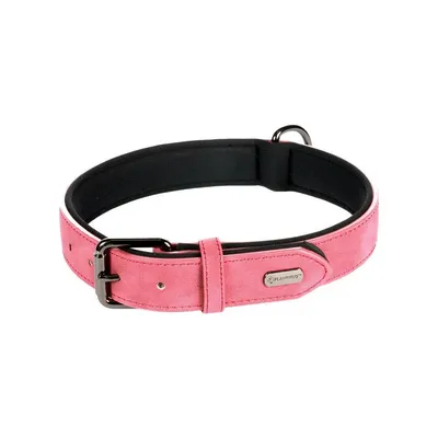 Flamingo - Collier taille XL 47-57 cm en simili cuir et néoprène  DELU, cou