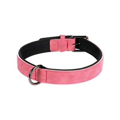 Flamingo - Collier taille XL 47-57 cm en simili cuir et néoprène  DELU, cou