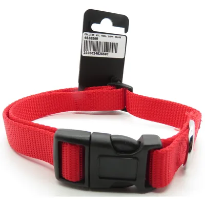 zolux - Collier nylon 40-50  cm x 20 mm  pour chien