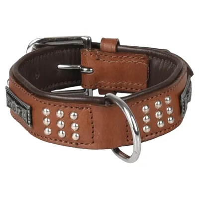 Flamingo Halsband Sedona Leder mit Nieten braun Flamingo Halsband Sedona Leder mit Nieten braun