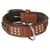 Flamingo Halsband Sedona Leder mit Nieten braun Flamingo Halsband Sedona Leder mit Nieten braun