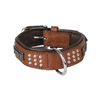 Flamingo - Collier Cuir SEDONA brun taille S 26-31 cm pour chien.