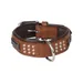 Collier Cuir SEDONA brun taille S 26-31 cm pour chien.