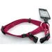 Collier Ziggi cerise 40 -55 cm. 20 MM . taille M. pour chien.