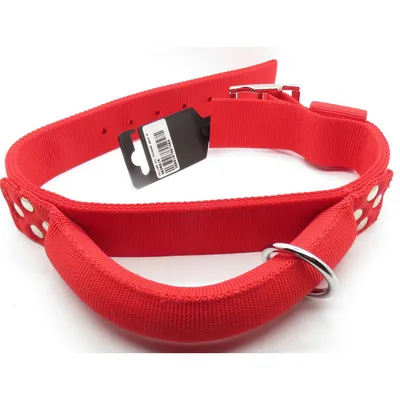 Collier avec poignée T 65cm  pour chien