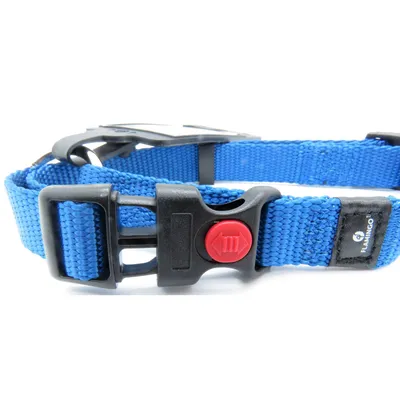 Flamingo - Collier Ziggi   30 -45 cm 15 mm taille S pour chien
