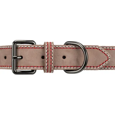Trixie - Collier cuir L-XL   52-61 cm/30 mm taupe pour chien
