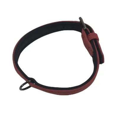 Collier taille S, 29-35 cm, en simili cuir et néoprène, couleur , pour
