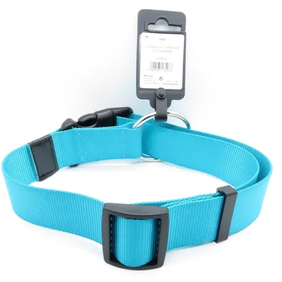 Flamingo - Collier Ziggi turquoise 55 -75 cm 40 MM  taille XXL pour chien