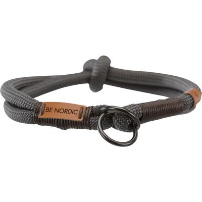 Collier pour Chiens Bande Boucle pour Chiot Animaux Chat Multi-taille