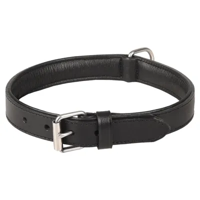 Flamingo - Collier Cuir L  40-46 cm ARIZONA  pour chien