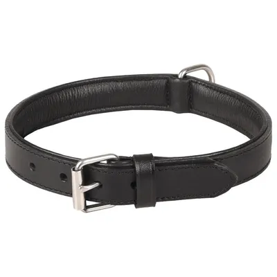 Flamingo - Collier Cuir L  40-46 cm ARIZONA  pour chien