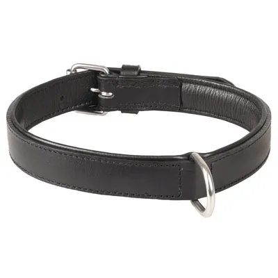 Flamingo - Collier Cuir L  40-46 cm ARIZONA  pour chien