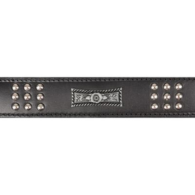 Collier Cuir SEDONA  taille XL 47-55 cm pour chien.