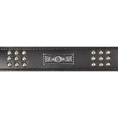 Collier Cuir SEDONA taille XL 47-55 cm pour chien. Collier Cuir SEDONA taille XL 47-55 cm pour chien.