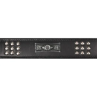 Flamingo - Collier Cuir SEDONA  taille L 43-50 cm pour chien