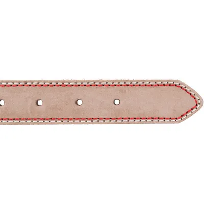 Trixie - Collier cuir S 31-37 cm/15 mm taupe pour chien Trixie - Collier cuir S 31-37 cm/15 mm taupe pour chien