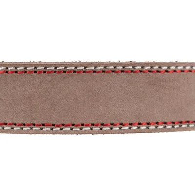 Trixie - Collier cuir S 31-37 cm/15 mm taupe pour chien Trixie - Collier cuir S 31-37 cm/15 mm taupe pour chien