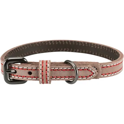 Trixie - Collier cuir S 31-37 cm/15 mm taupe pour chien