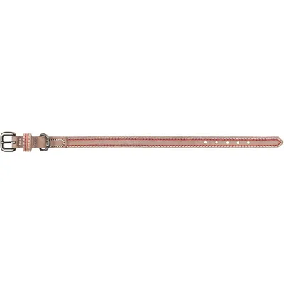 Trixie - Collier cuir S 31-37 cm/15 mm taupe pour chien Trixie - Collier cuir S 31-37 cm/15 mm taupe pour chien
