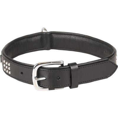 Collier Cuir SEDONA  taille XXL 51-60 cm pour chien.