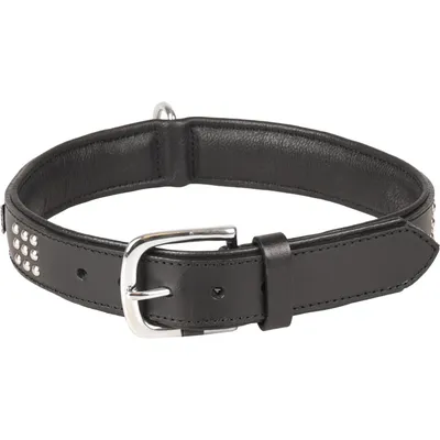 Flamingo - Collier Cuir SEDONA  taille XXL 51-60 cm pour chien.