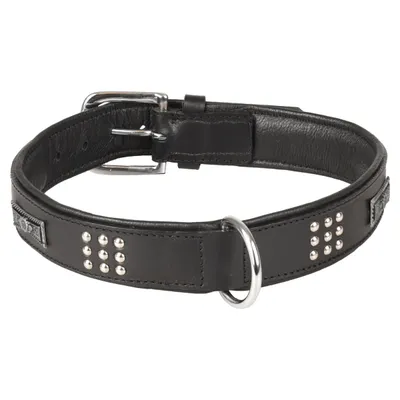 Flamingo Halsband Sedona Leder mit Nieten schwarz Flamingo Halsband Sedona Leder mit Nieten schwarz