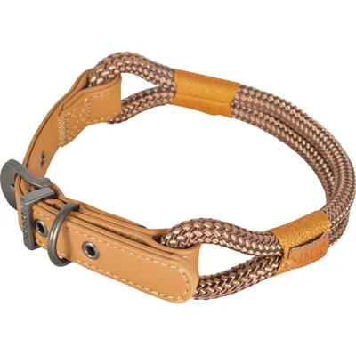 zolux - Collier IMAO 60 cm x 11 mm Hyde park pour chien zolux - Collier IMAO 60 cm x 11 mm Hyde park pour chien