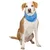 Trixie - Bandana rafraîchissant M 28 à 40 cm pour chien Trixie - Bandana rafraîchissant M 28 à 40 cm pour chien